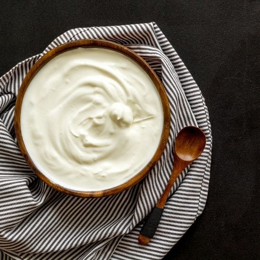 Whipped Cream Maker Canister